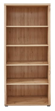 Holz-Aktenregal mit fünf Regalböden, frontale Ansicht