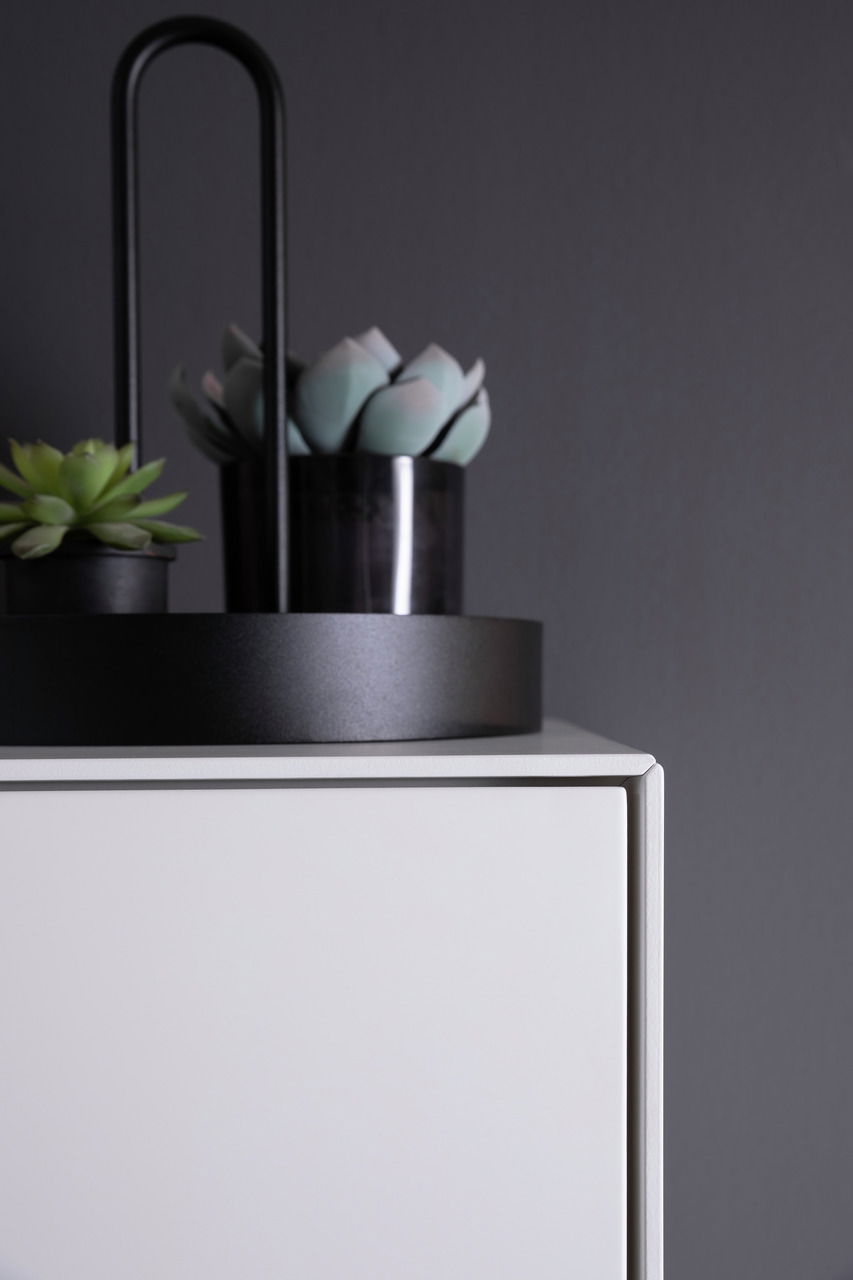 Nahaufnahme eines modernen weißen Sideboards mit dekorativen Pflanzen auf der Oberseite, seitliche Perspektive.