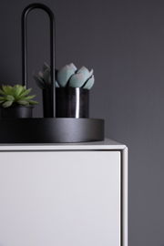 Nahaufnahme eines modernen weißen Sideboards mit dekorativen Pflanzen auf der Oberseite, seitliche Perspektive.