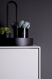 Nahaufnahme eines modernen weißen Sideboards mit dekorativen Pflanzen auf der Oberseite, seitliche Perspektive.