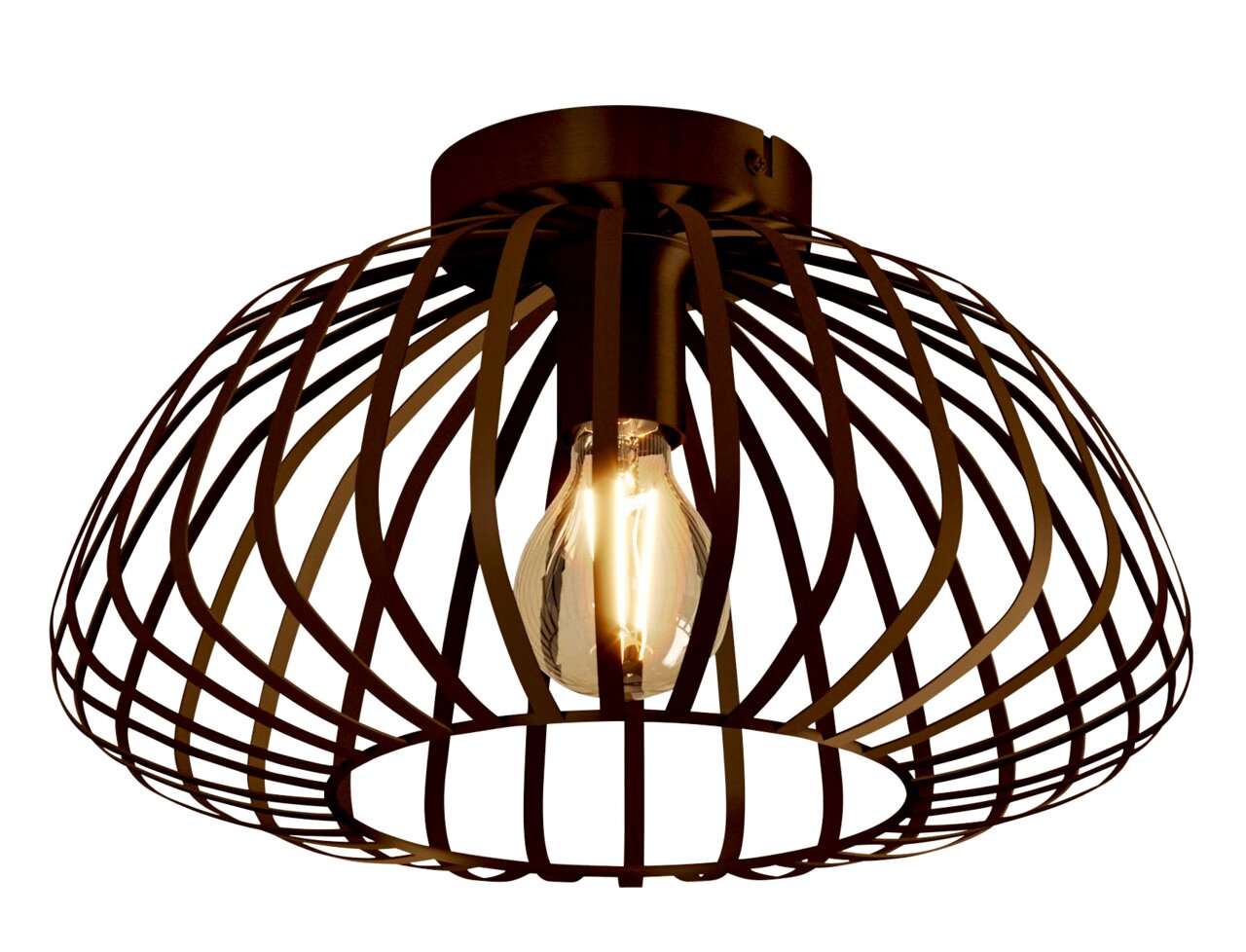 Eglo Leuchten Plafondlamp ESPINAL Plafondlamp ESPINAL met zwart, kooivormig ontwerp en zichtbare gloeilamp, zijaanzicht