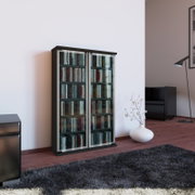 Schwarzer CD-/DVD-Schrank mit zwei Glas-Schiebetüren und silbernen Rahmen, gefüllt mit CDs, im Wohnzimmer vor weißer Wand – frontale Ansicht mit leichter Perspektive von links.