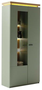 Moderne Vitrine mit Glasfront und integrierter Beleuchtung, seitliche Perspektive