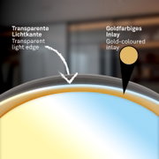 Detailaanzicht van een ronde ledlamp met transparante lichtrand en goudkleurige inleg