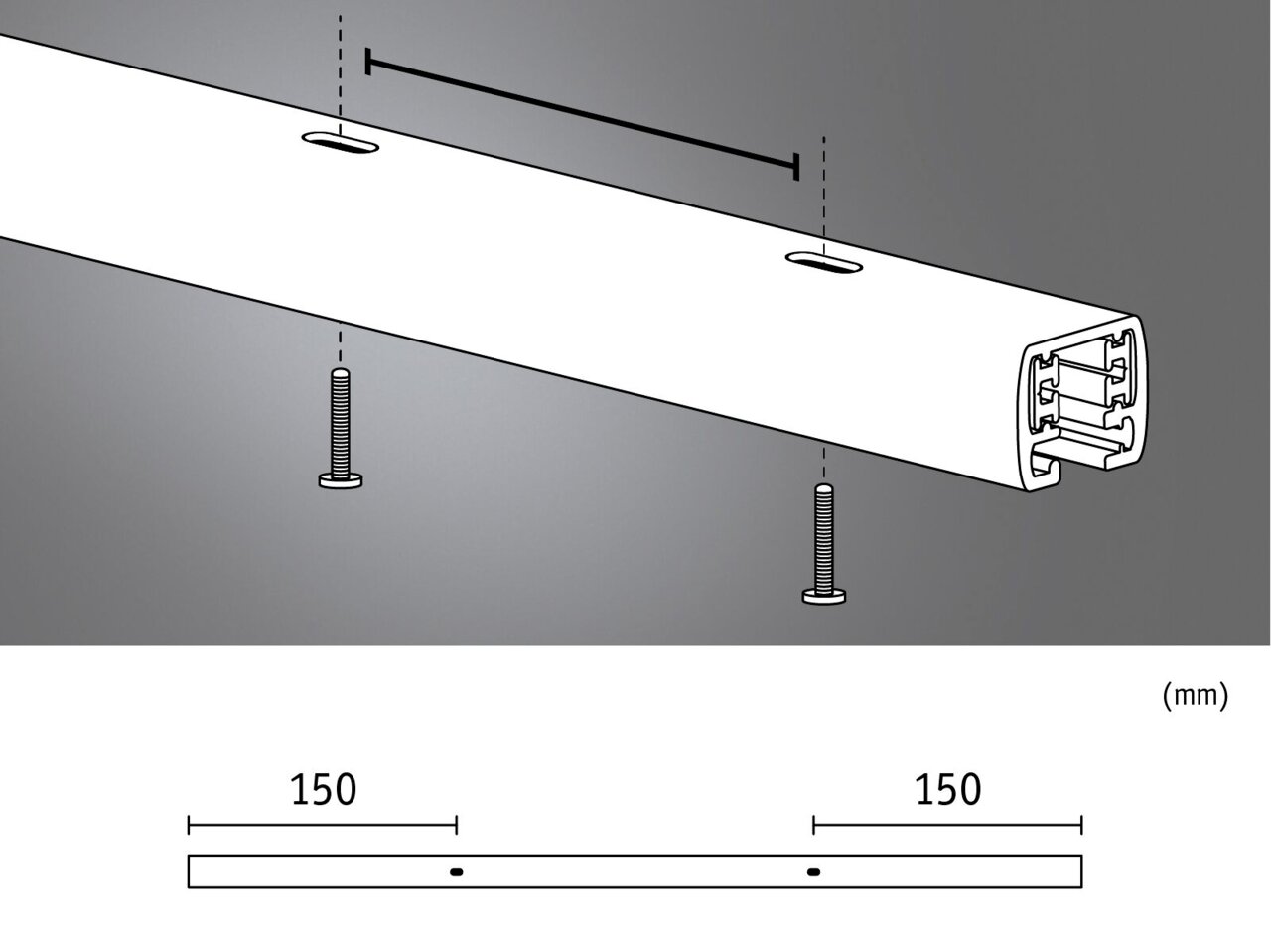 Illustration einer 0,5m langen Schiene mit zwei Befestigungsschrauben, seitliche Perspektive.
