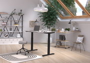 Moderner höhenverstellbarer E-Schreibtisch in einem stilvollen, hellen Arbeitszimmer mit Dachfenster, Pflanzen und Regalen, seitliche Perspektive.