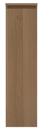 Mittelschranktür aus Holz in Frontalansicht