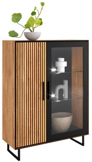 Vitrine halbhoch aus Holz mit einer Glastür und einer Holztür mit vertikalen Streifen, dekoriert mit einer Pflanze auf der Oberseite. Frontalansicht.