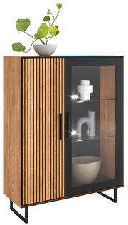 Vitrine halbhoch aus Holz mit einer Glastür und einer Holztür mit vertikalen Streifen, dekoriert mit einer Pflanze auf der Oberseite. Frontalansicht.