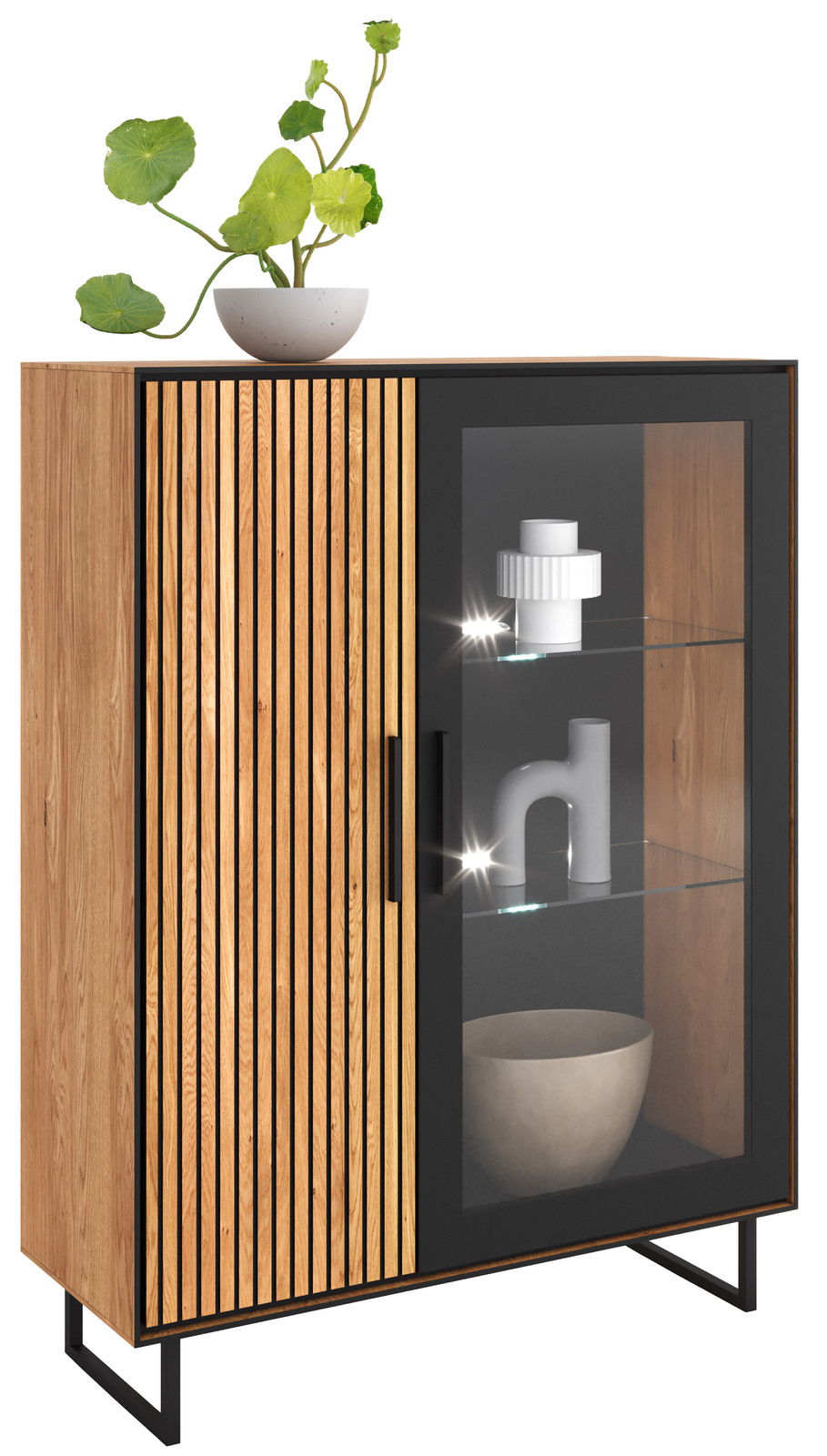 Vitrine halbhoch aus Holz mit einer Glastür und einer Holztür mit vertikalen Streifen, dekoriert mit einer Pflanze auf der Oberseite. Frontalansicht.