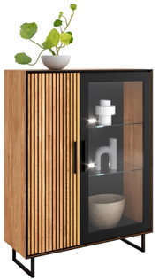 Halfhoge vitrinekast van hout met een glazen deur en een houten deur met verticale strepen, versierd met een plant bovenop. Vooraanzicht.