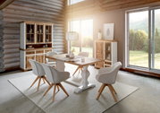 Esszimmer mit Esstisch aus Holz und weißen Stühlen, umgeben von Vitrinenschränken und einem großen Fenster mit Blick auf die Natur. Perspektive von vorne.