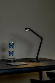 Moderne Tischleuchte in schwarzem Design auf einem Schreibtisch, seitliche Perspektive