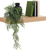 Wandboard aus Holz mit Dekoration, darunter eine schwarze Vase mit grünen Pflanzen und drei Bücher, seitliche Perspektive