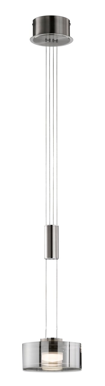 Fischer & Honsel LED-Hängeleuchte LAVIN Moderne Pendelleuchte mit rundem Deckenbaldachin aus gebürstetem Metall, mehradriger Seilaufhängung und zylindrischem, rauchgrauem Glasschirm mit integriertem Diffusor, freigestellt auf weißem Hintergrund, Frontansicht.