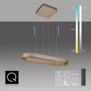 Moderne LED-Pendelleuchte in ovaler Ringform mit champagnerfarbenem Metallrahmen, höhenverstellbar an vier Seilabhängungen, Ansicht schräg von vorn/unten; mit Fernbedienung, dimmbar und einstellbarer Farbtemperatur (ca. 2700–5000 K) sowie Memory-Funktion