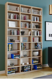 Großes, offenes Bücherregal aus hellem Holz mit vielen Fächern, gefüllt mit Büchern und DVDs sowie Deko-Objekten, in einem Wohnzimmer vor blaugrüner Wand – Frontalansicht mit leichter Perspektive von links.