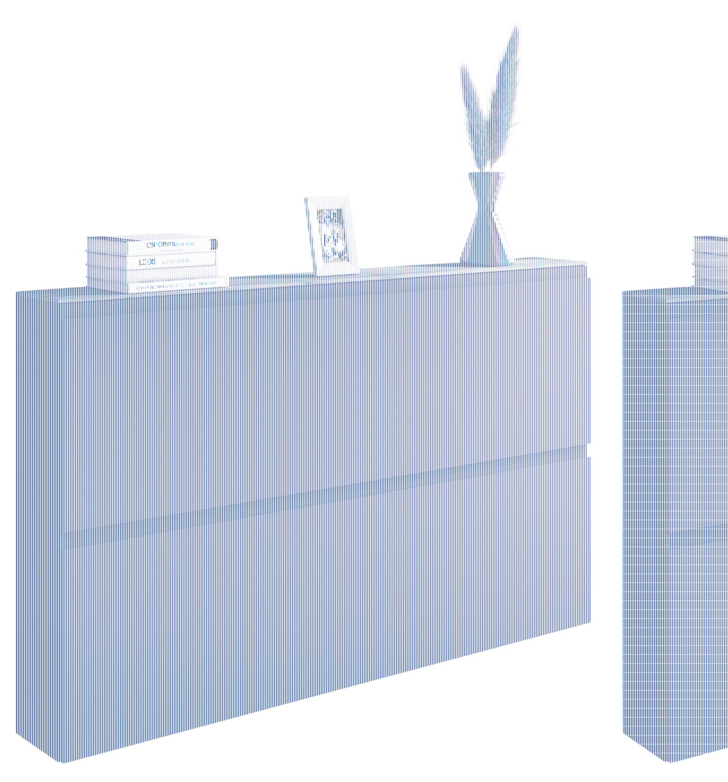 Moderner XL-Hängeschuhschrank in dunklem Grau mit zwei Klappen, dekoriert mit Büchern, einem Bilderrahmen und einer Vase mit Pampasgras, seitliche Perspektive.