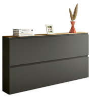 Moderner XL-Hängeschuhschrank in dunklem Grau mit zwei Klappen, dekoriert mit Büchern, einem Bilderrahmen und einer Vase mit Pampasgras, seitliche Perspektive.
