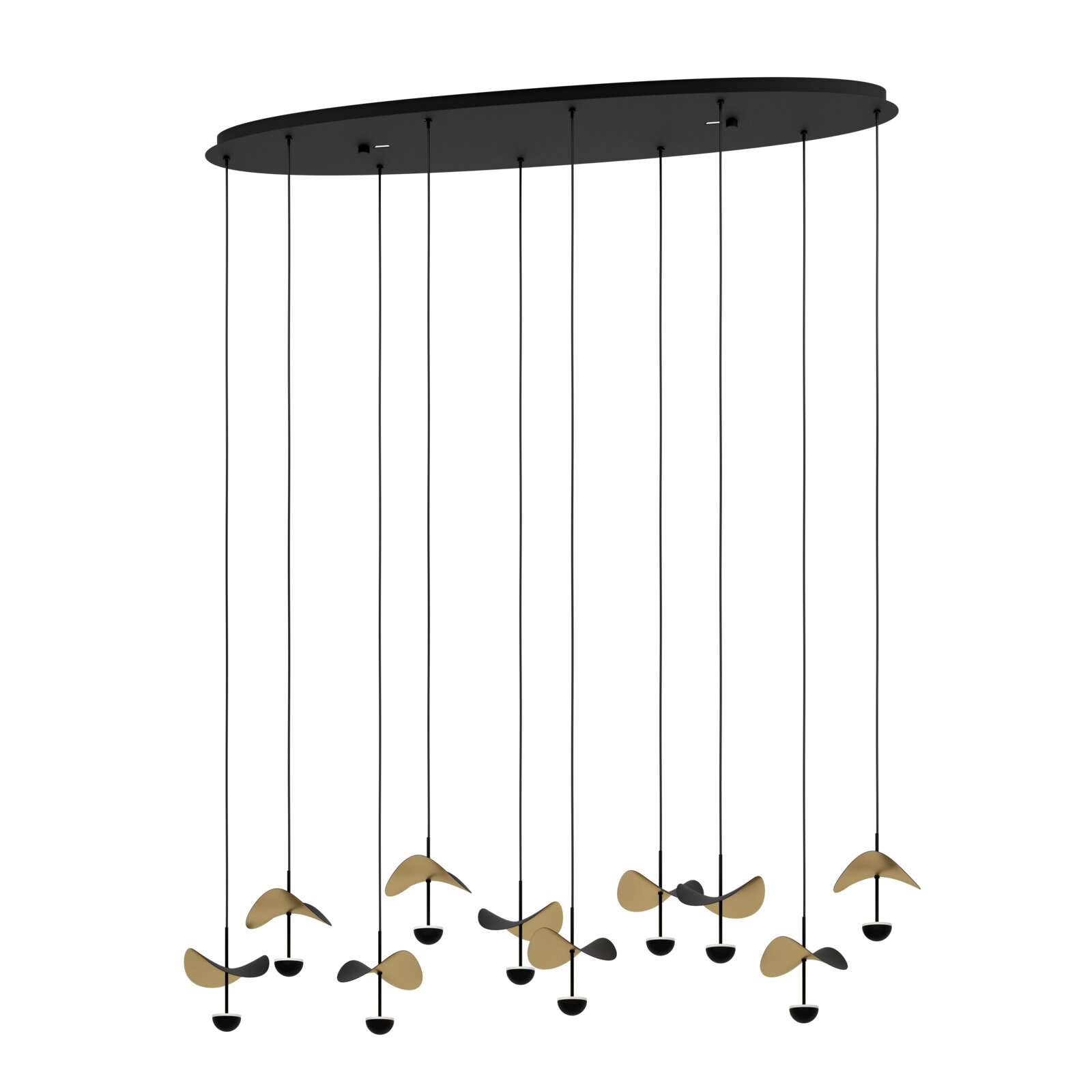 Mehrflammige Designer-Pendelleuchte in Schwarz mit ovalem Deckenbaldachin und mehreren hängenden Leuchtenelementen in Gold/Schwarz, frontal in leichter Untersicht dargestellt