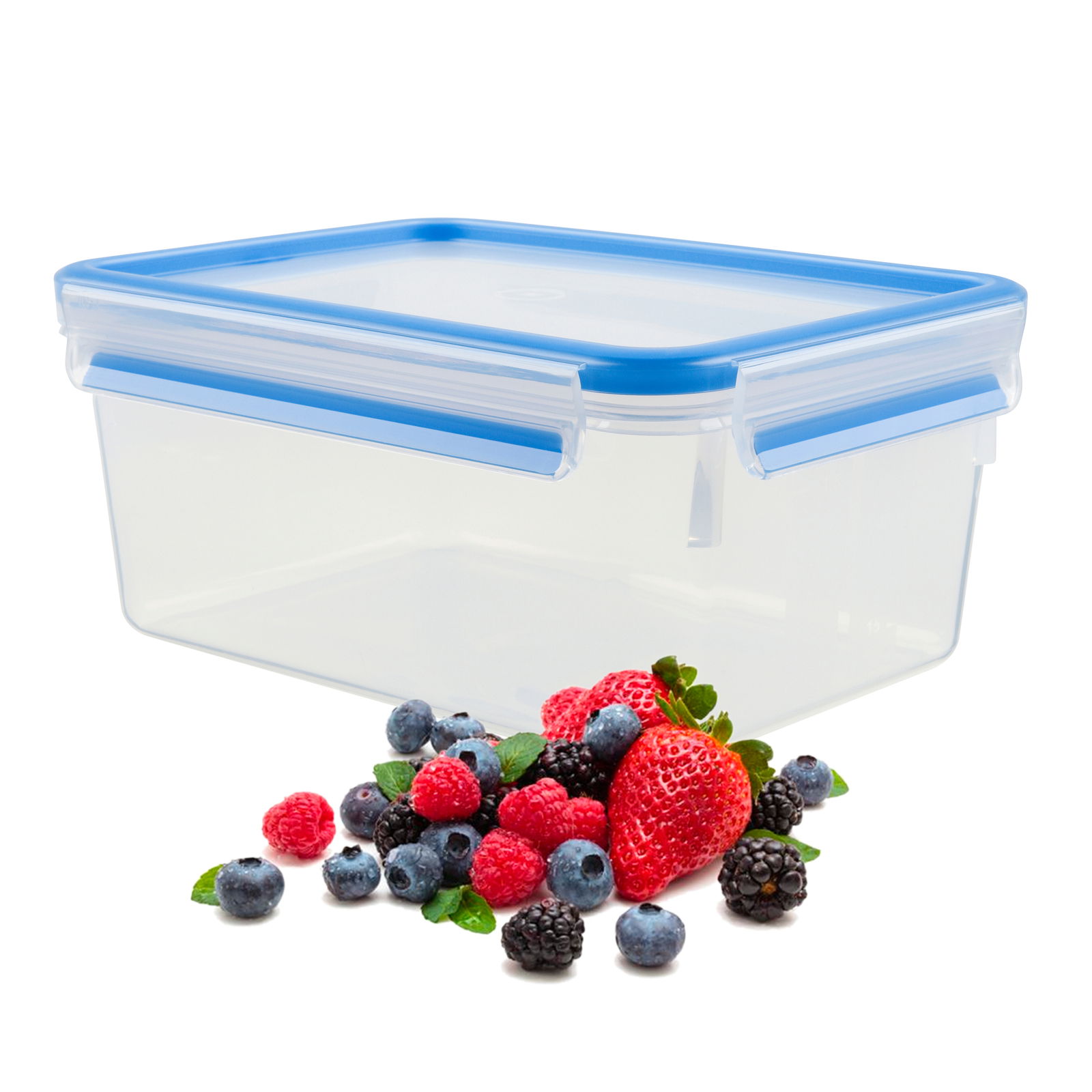 Rechteckige Frischhaltedose mit blauem Deckel, gefüllt mit frischen Beeren, aus seitlicher Perspektive.