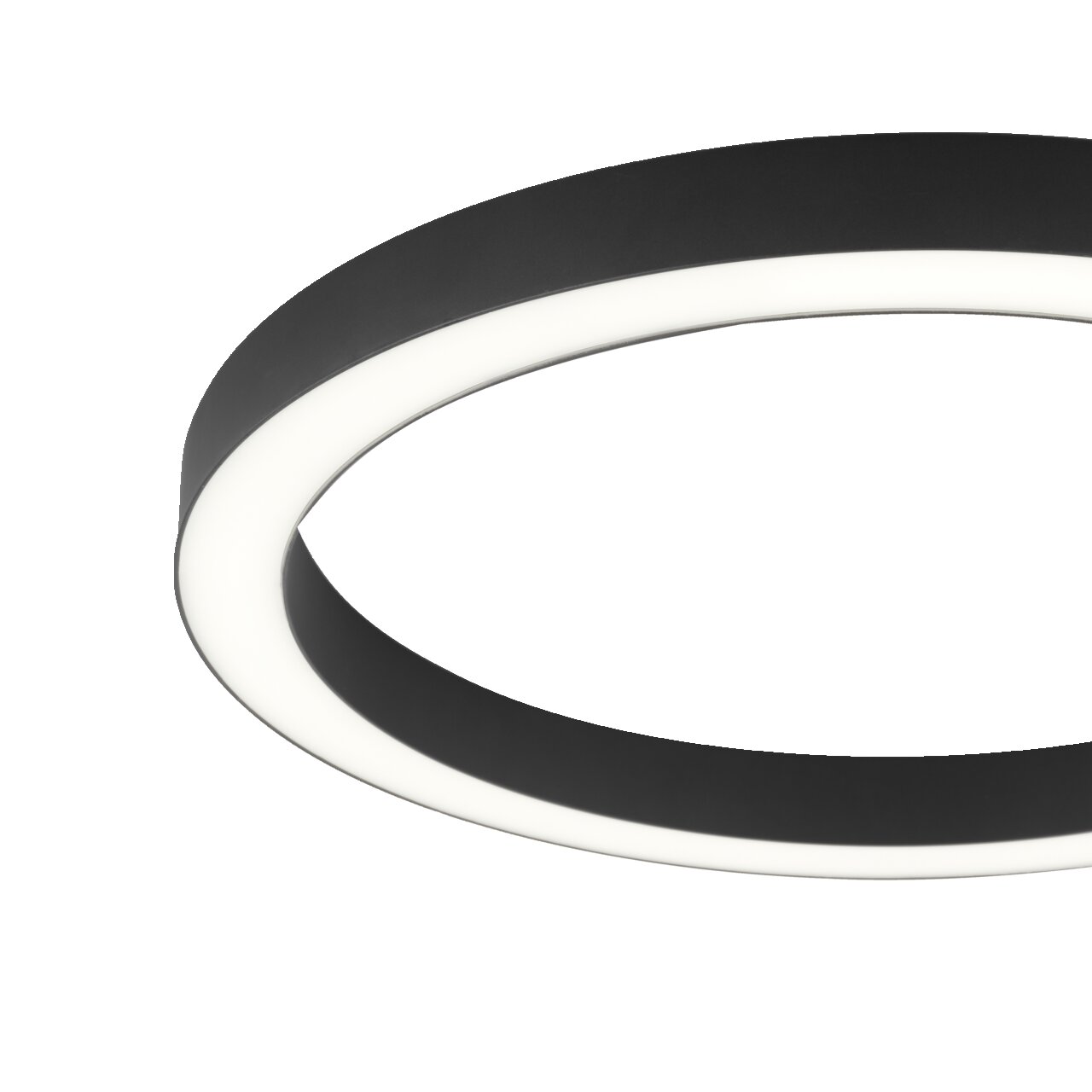 Moderne Deckenleuchte PURE-LINES in schwarzem Ringdesign, seitliche Perspektive