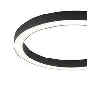 Moderne Deckenleuchte PURE-LINES in schwarzem Ringdesign, seitliche Perspektive