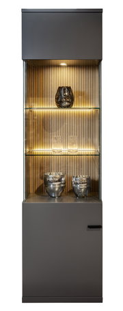 Moderne Vitrine mit Glasregalen und Beleuchtung, frontal fotografiert.