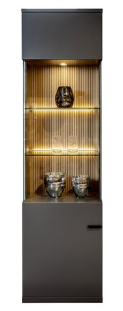 Moderne Vitrine mit Glasregalen und Beleuchtung, frontal fotografiert.