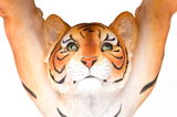 Nahaufnahme eines Tigerkopfes mit lebendigen Farben und detaillierten Merkmalen, von vorne betrachtet.