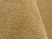 Nahaufnahme eines beigen Uni-Teppichs mit weicher Textur, seitliche Perspektive