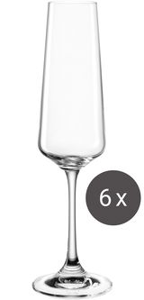 Sektglas 220ml aus einem 6er-Set, frontal abgebildet