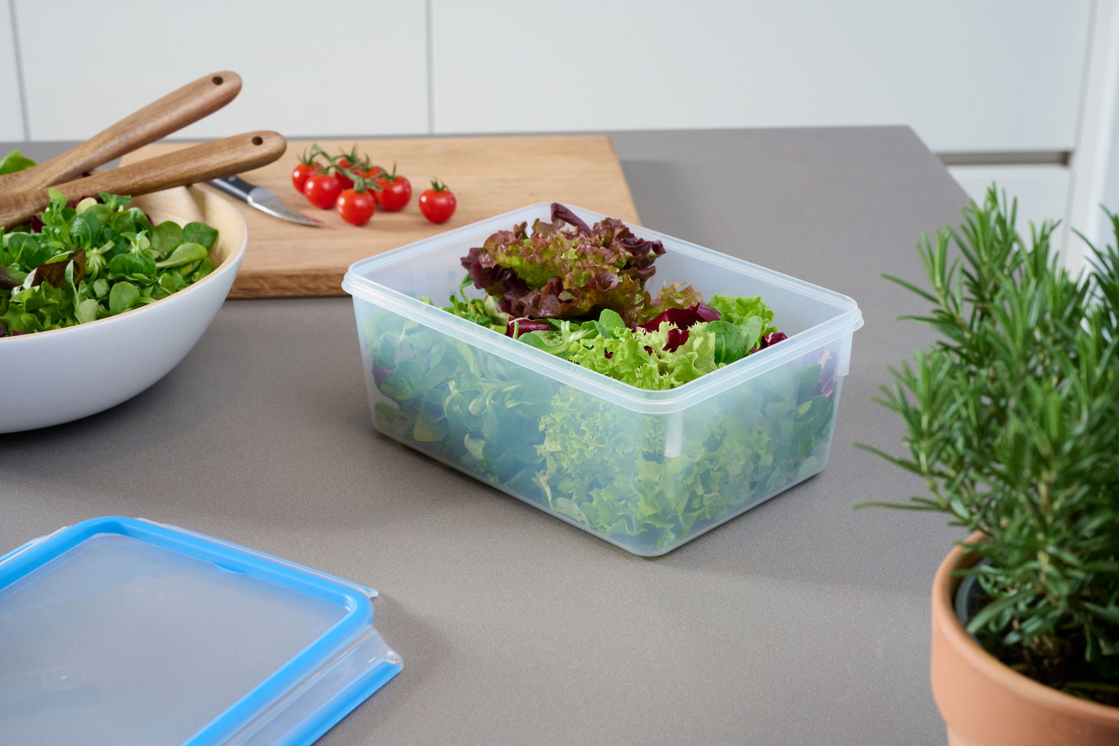 Rechteckige Frischhaltedose mit 3,70L Fassungsvermögen, gefüllt mit frischem Salat, auf einer Küchenarbeitsplatte. Der Deckel liegt daneben. Perspektive von schräg oben.