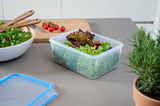 Rechteckige Frischhaltedose mit 3,70L Fassungsvermögen, gefüllt mit frischem Salat, auf einer Küchenarbeitsplatte. Der Deckel liegt daneben. Perspektive von schräg oben.