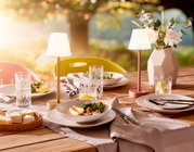 Ein stilvoll gedeckter Tisch im Freien mit dem Kombiservice Bella Vista 24-teilig, bestehend aus Tellern, Gläsern und Besteck, in einer sommerlichen Gartenszene mit warmem Sonnenlicht.