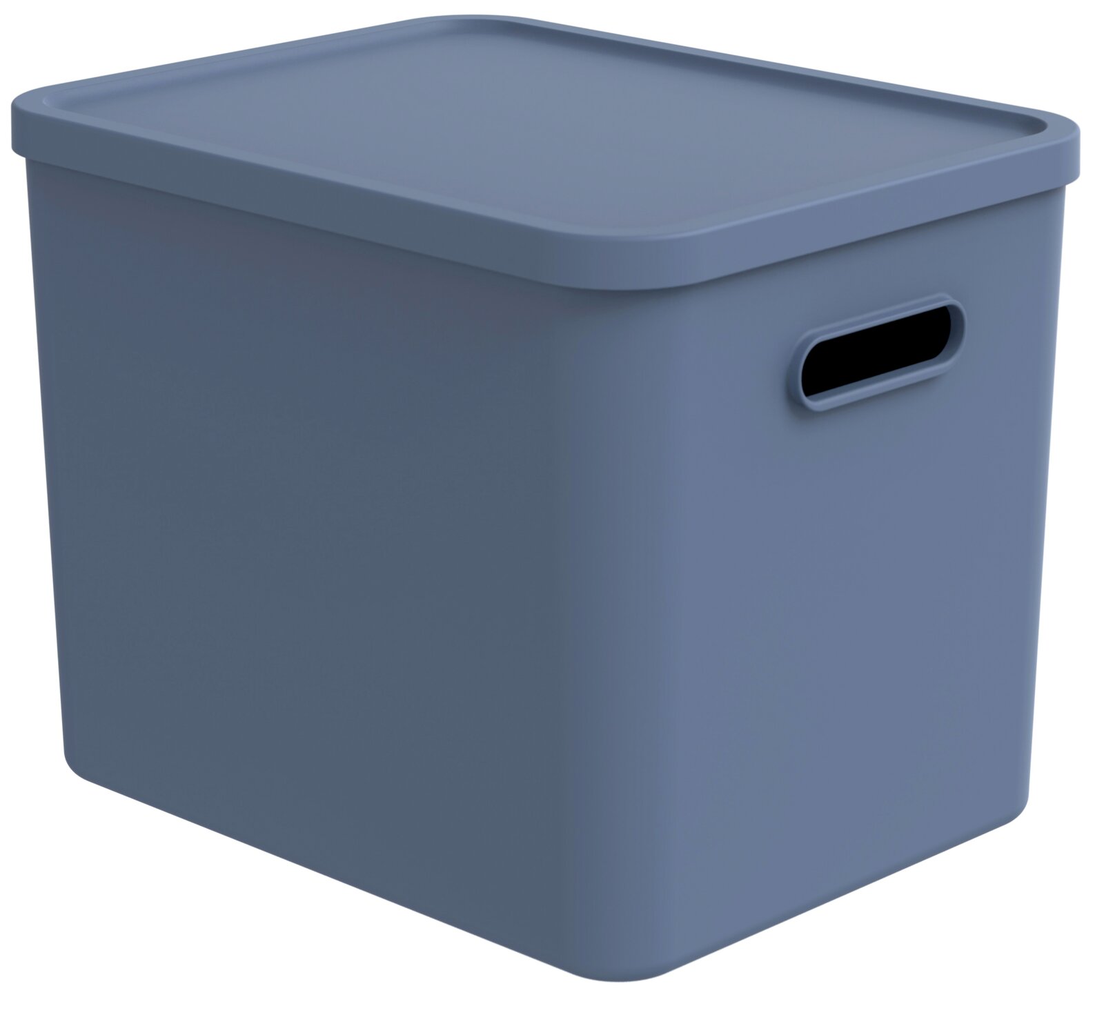 rotho Multibox ALBULA Blauer rechteckiger Aufbewahrungsbehälter aus Kunststoff mit Deckel und seitlicher Grifföffnung, schräg von vorne oben (3/4-Ansicht) freigestellt