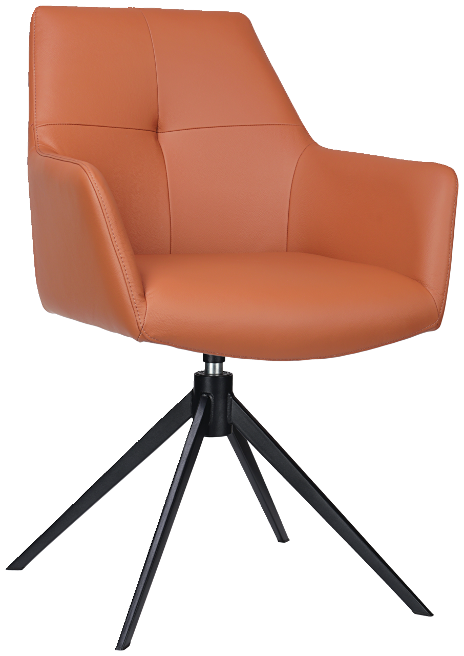 Novel Armlehnstuhl MEDUSA Moderner Armlehnstuhl in Lederoptik mit schwarzem Metallgestell, Frontalansicht