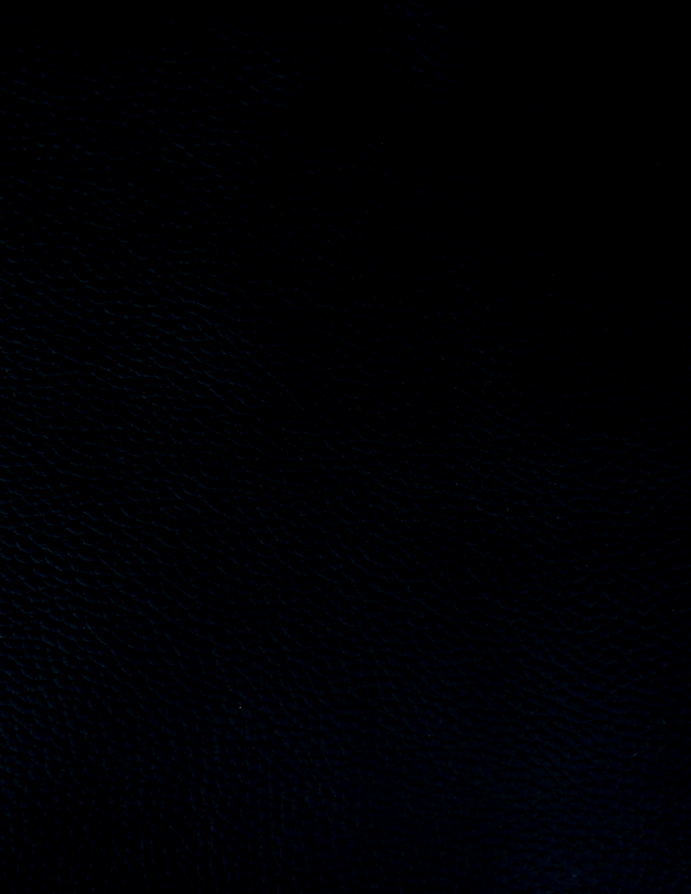 Dieter Knoll Drehstuhl PABLO Nahaufnahme von schwarzem Lederbezug eines Drehstuhls