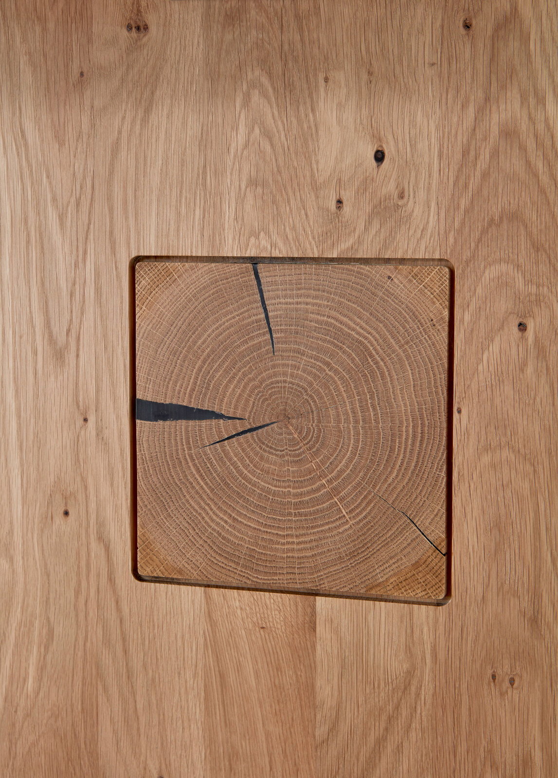 Nahaufnahme einer Holzoberfläche mit sichtbaren Jahresringen und natürlichen Rissen, quadratisches Design.