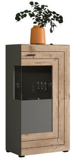 Moderner Standschrank mit Holz- und Glaselementen, dekoriert mit einer Pflanze in einem orangefarbenen Topf, seitliche Perspektive.