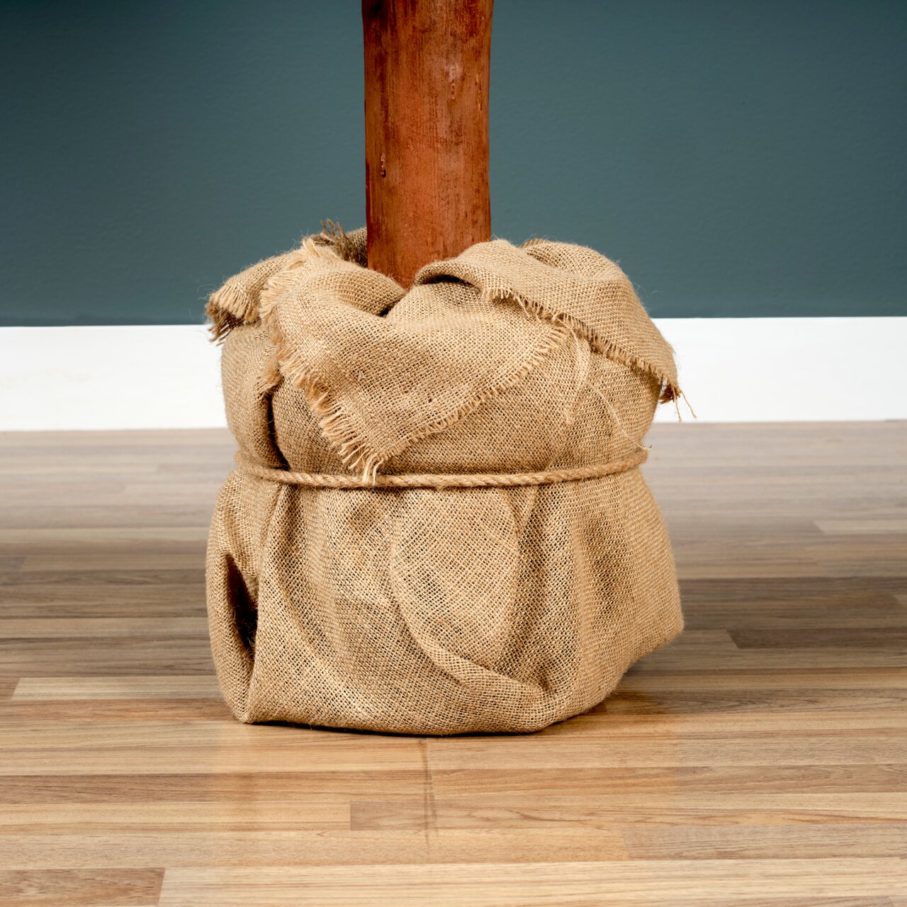 Close-up van de voet van een Tiaga-spar, omwikkeld met jute, staande op een houten vloer.