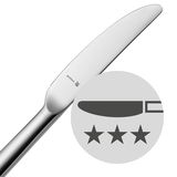 Nahaufnahme eines modernen Messers aus dem Besteckset Flame Plus, mit glatter Klinge und ergonomischem Griff, seitliche Perspektive.