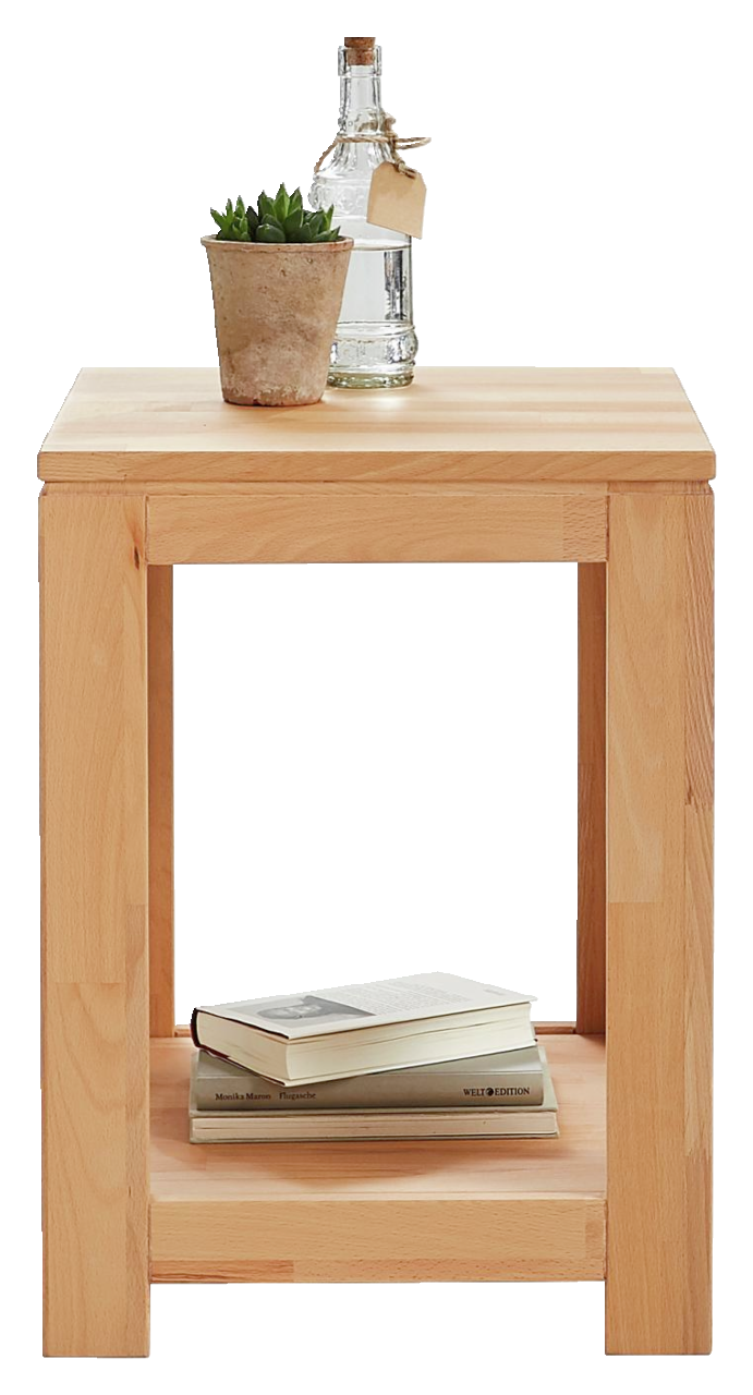 Linea Natura Beistelltisch OSLO Beistelltisch aus Holz mit Pflanze und Flasche auf der Oberseite, Bücher im unteren Fach, Frontalansicht