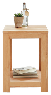 Beistelltisch aus Holz mit Pflanze und Flasche auf der Oberseite, Bücher im unteren Fach, Frontalansicht