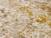 Nahaufnahme eines Designer Teppichs mit abstraktem Muster in Beige, Weiß und Gelb aus der Vogelperspektive.