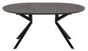 Moderner Esstisch mit ovaler, dunkler Tischplatte und schwarzen Metallbeinen, Frontalansicht.
