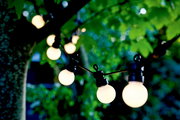 Solarbetriebene Lichterkette mit 10 LED-Lampen, aufgehängt in einem Baum, aus der Nähe betrachtet.