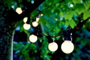 Solarbetriebene Lichterkette mit 10 LED-Lampen, aufgehängt in einem Baum, aus der Nähe betrachtet.