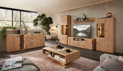 Wohnzimmeransicht mit moderner Wandkombination aus Holz, bestehend aus Schränken, Regalen und einem TV-Element. Die Perspektive zeigt die Möbel von vorne in einem gemütlich eingerichteten Raum mit großen Fenstern und Pflanzen.