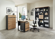 Moderne Büromöbel in einem hellen Raum, bestehend aus einem Schreibtisch mit Rollcontainer, einem Aktenschrank und einem Regalschrank, aus Holz und Metall, seitliche Perspektive.